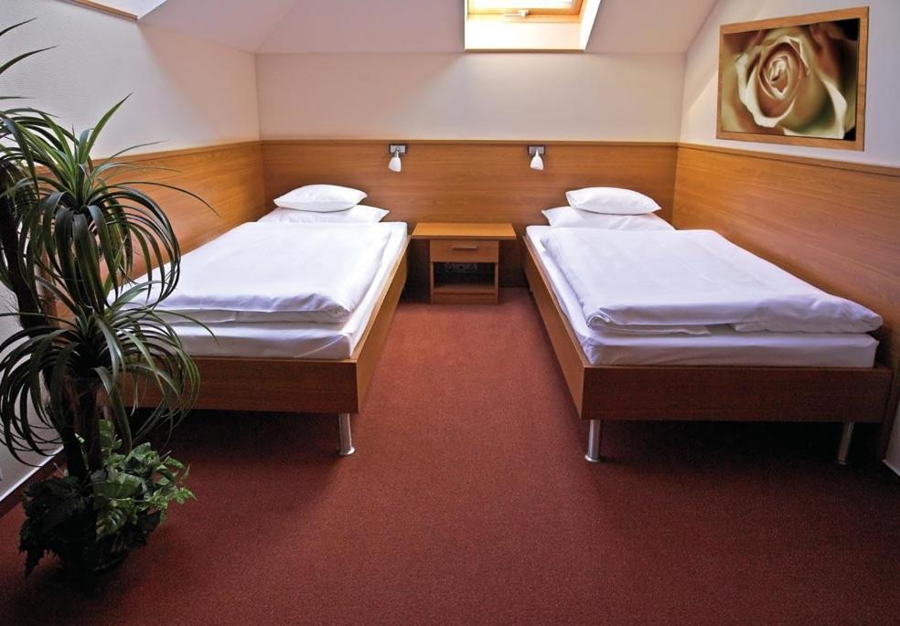 Promedicum Panzio Hotel Veszprém Стая снимка